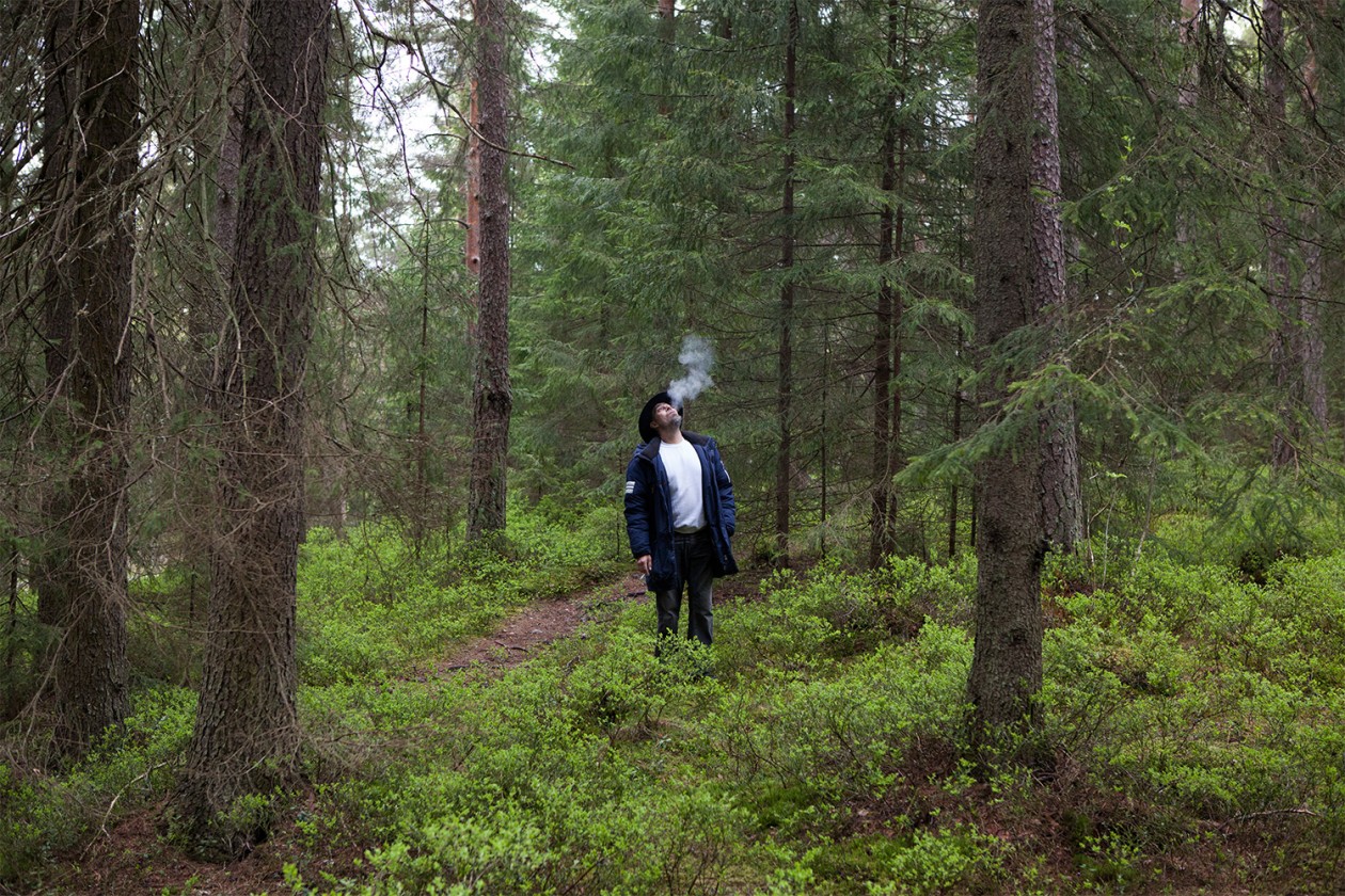 Ingen Bor I Skogen Katla
